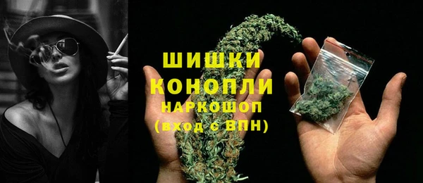 шишки Алзамай