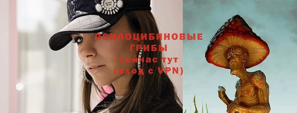 шишки Алзамай