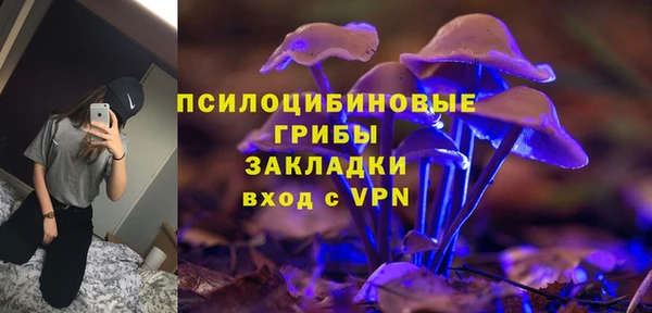 шишки Алзамай
