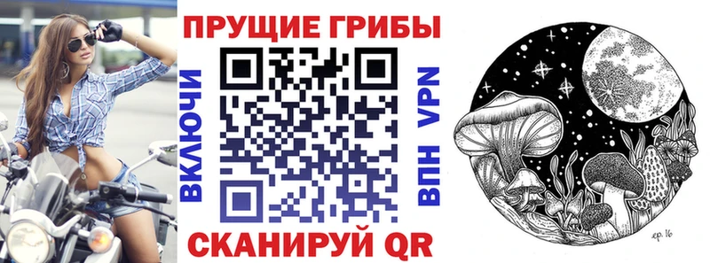 как найти закладки  Динская  Псилоцибиновые грибы мицелий 